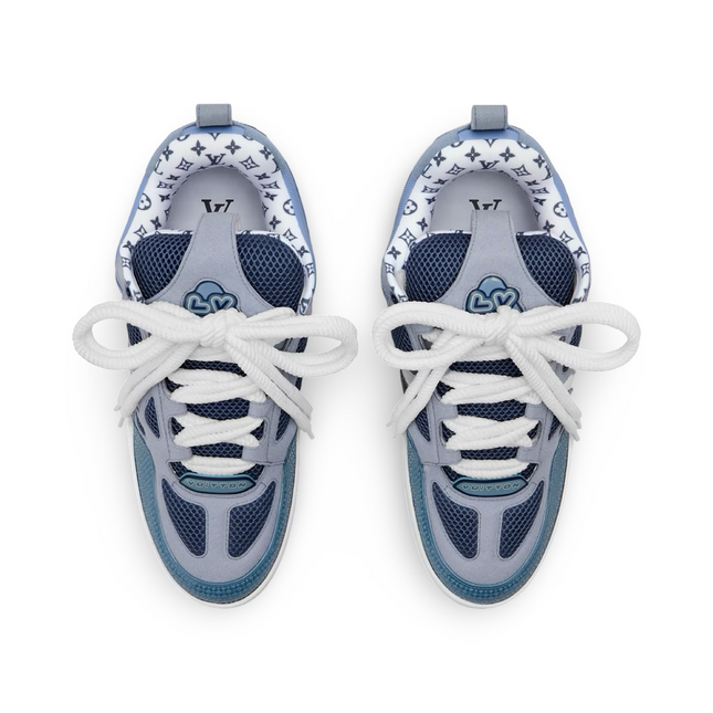 Skates in Blue
